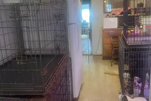 51 Woody Ln, West Haven, CT 06516 - Photo 11