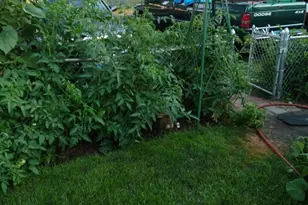 [Address not provided], Stratford, CT 06614 - Photo 19