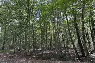 Lot #6 South Brook Dr, Stamford, CT 06904 - Photo 1