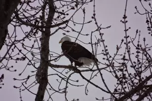 241 S Water St, East Windsor, CT 06088 - Photo 19