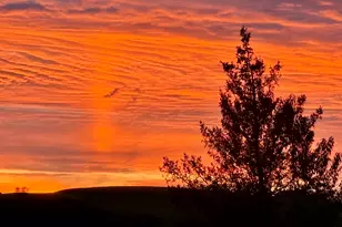 182 Magnolia Hill Rd, Bethlehem, CT 06751 - Photo 39