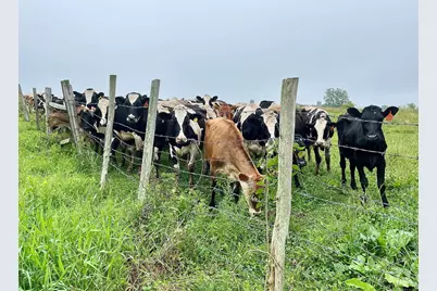 182 Magnolia Hill Road, Bethlehem, CT 06751 - Photo 37