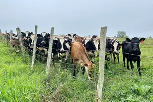 182 Magnolia Hill Rd, Bethlehem, CT 06751 - Photo 37