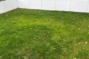 18 Albion Ave, West Haven, CT 06516 - Photo 13