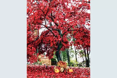 100 Spice Hill Drive, Meriden, CT 06451 - Photo 37