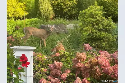 227 Dublin Hill Road, Southbury, CT 06488 - Photo 39