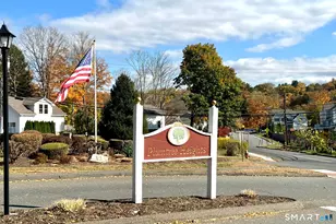 32 Deer Run, Bethel, CT 06801 - Photo 15