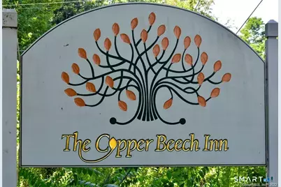 29 Mitchel Terrace, Essex, CT 06442 - Photo 37