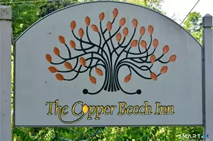 29 Mitchel Terrace, Essex, CT 06442 - Photo 37