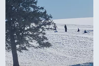 17 Esther Drive, Middlefield, CT 06455 - Photo 35