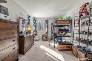 13 Lower Cmns, Woodbury, CT 06798 - Photo 23