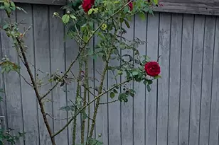 630 Longfellow Dr, Branford, CT 06405 - Photo 3