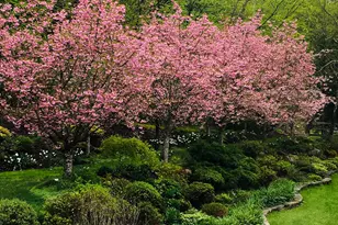 233 Sharon Goshen Turnpike Rd, Cornwall, CT 06796 - Photo 11