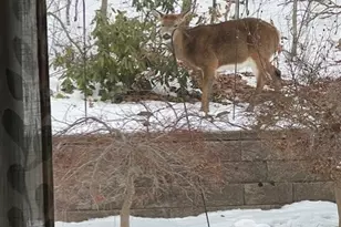 26 Boulder Dell Road Ext, Haddam, CT 06441 - Photo 37