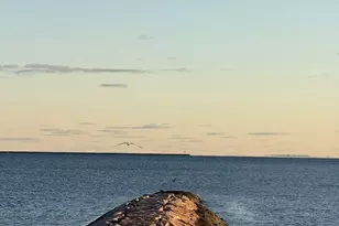 330 Savin Ave, West Haven, CT 06516 - Photo 17