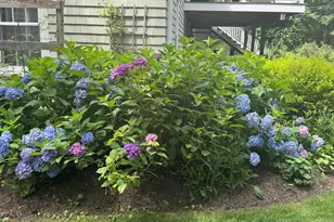 45 Ledgewood Dr, Wilton, CT 06897 - Photo 37