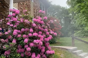 83 Birge St, Torrington, CT 06790 - Photo 15