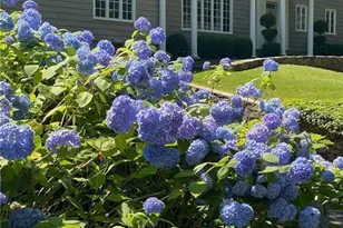 6 Green Beach Dr, Norwalk, CT 06853 - Photo 1