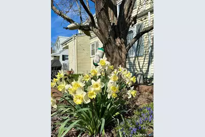 40 Parkway South, New London, CT 06320 - Photo 19