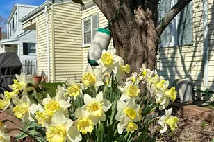 40 Parkway S, New London, CT 06320 - Photo 19