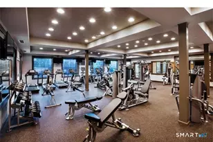 503 Center Meadow Ln, Danbury, CT 06810 - Photo 33