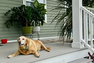 93 Shelton Ave, Shelton, CT 06484 - Photo 23