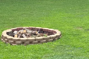 5 Insalaco Dr, Windham, CT 06280 - Photo 39