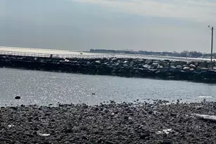 315 Seaside Ave, Bridgeport, CT 06605 - Photo 25