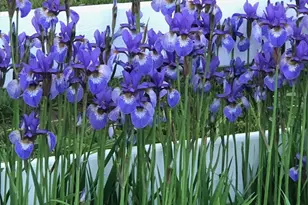 30 Hopyard Rd, East Haddam, CT 06423 - Photo 33