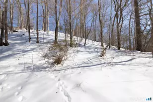 225 Willow St, Hamden, CT 06518 - Photo 25