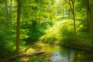 30 Cavalry Rd, Westport, CT 06880 - Photo 39