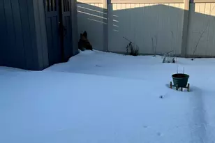 293 Millville Ave, Naugatuck, CT 06770 - Photo 15