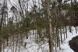 52 Shingle Mill Rd, Simsbury, CT 06092 - Photo 3