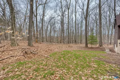 419 Tall Timbers Road, Glastonbury, CT 06033 - Photo 33