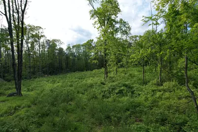 33 Tyler Ridge Road, Goshen, CT 06756 - Photo 3