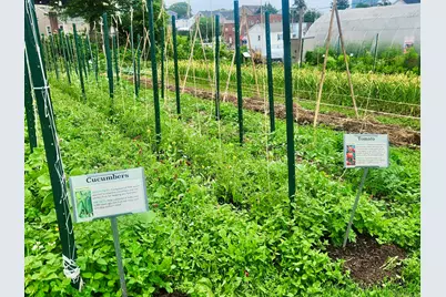 31 Fairgate Drive, Stamford, CT 06902 - Photo 15