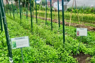 31 Fairgate Dr, Stamford, CT 06902 - Photo 15