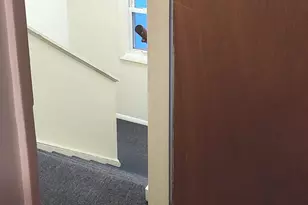 53 Hiltbrand Rd, Bristol, CT 06010 - Photo 3