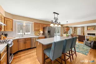 3 Owl Ridge Ln, Newtown, CT 06482 - Photo 15