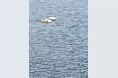 7 Pratt Lane, Wolcott, CT 06716 - Photo 25