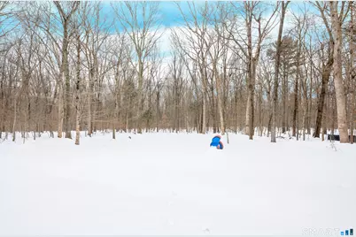 33 Northam Road, Hebron, CT 06231 - Photo 29