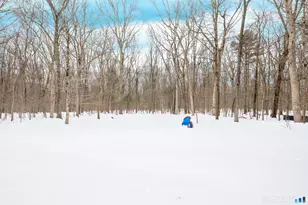 33 Northam Rd, Hebron, CT 06231 - Photo 29