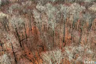 275 Hammertown Rd, Monroe, CT 06468 - Photo 5