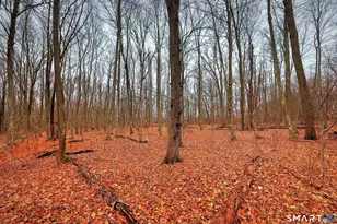 275 Hammertown Rd, Monroe, CT 06468 - Photo 15