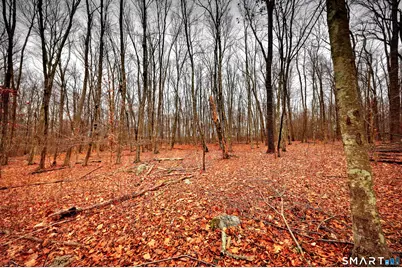 275 Hammertown Road, Monroe, CT 06468 - Photo 13