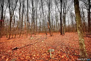 275 Hammertown Rd, Monroe, CT 06468 - Photo 13