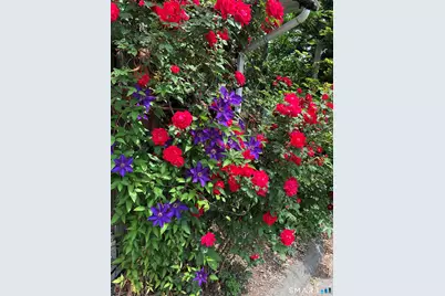 671 Rubber Avenue, Naugatuck, CT 06770 - Photo 31