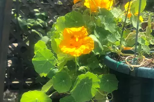 671 Rubber Ave, Naugatuck, CT 06770 - Photo 29