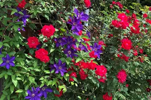 671 Rubber Ave, Naugatuck, CT 06770 - Photo 27