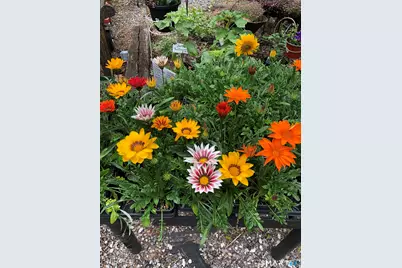 671 Rubber Avenue, Naugatuck, CT 06770 - Photo 31